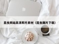 谷城昆虫网站高清照片素材（昆虫图片下载）